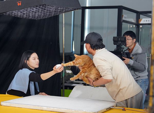 猫咪健康水新品宣传片拍摄花絮